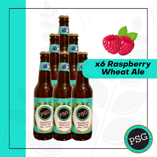 Raspberry Wheat Ale (6-pack)